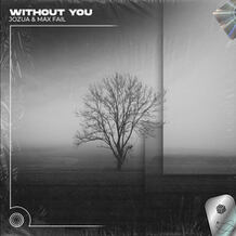 Without You