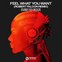 Feel What You Want (Robert Falcon Remix)