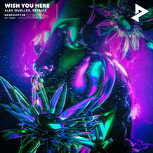 Wish You Here