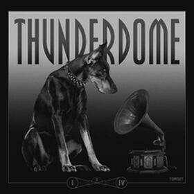 THUNDERDOME VINYL SERIES I/IV