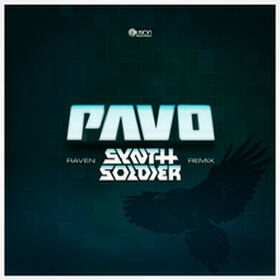 Raven (Synthsoldier Remix)