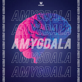 Amygdala