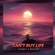 Can't Buy Life