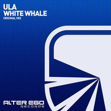 White Whale